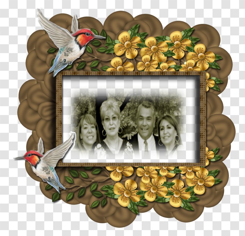 Bird Picture Frames Fruit Transparent PNG