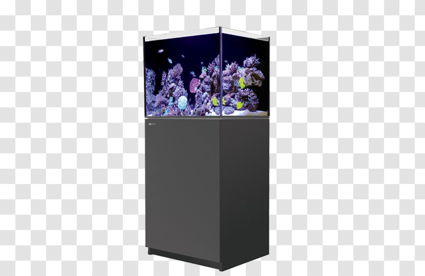 Red Sea Reefer 170 Aquariums Reef Aquarium 350 - Purple Transparent PNG