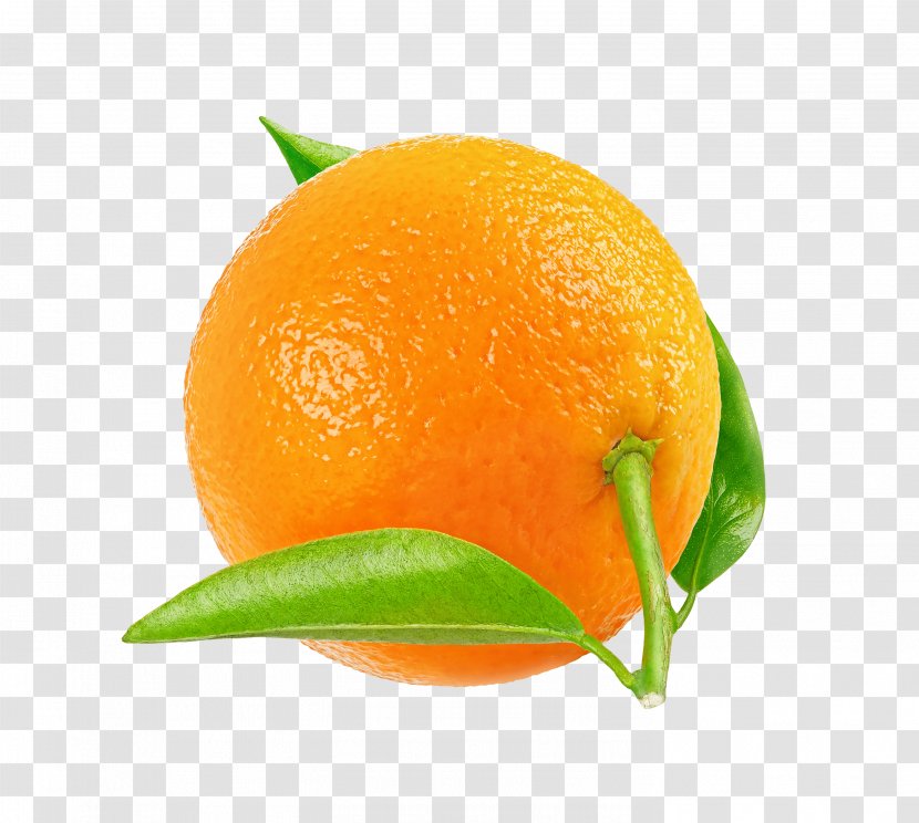 Tangerine Mandarin Orange Tangelo Rangpur Clementine - Peel Transparent PNG