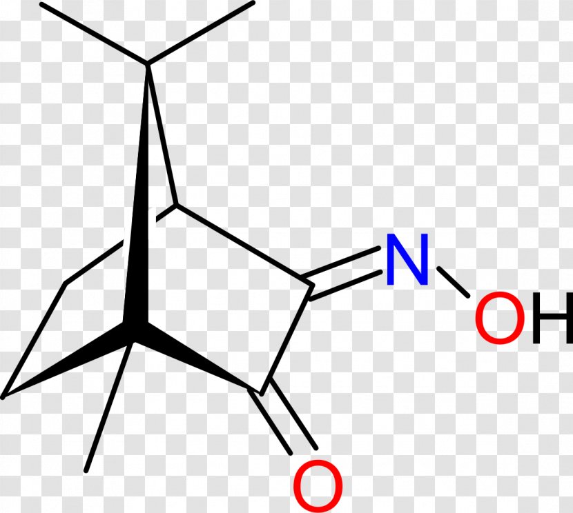 Bornane-2,3-dione Camphorquinone 3-oxime Chemistry Chemical Compound - Symmetry - Camphor Transparent PNG