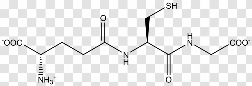 Glutathione S-transferase Antioxidant Free-radical Theory Of Aging Mitochondrion - Area Transparent PNG