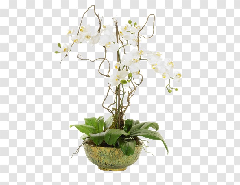 Moth Orchids Flower Vine Floral Design Transparent PNG