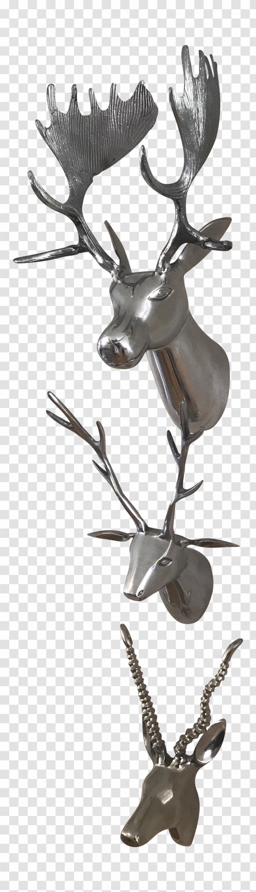 Silver Metal Reindeer Taxidermy Animal - Deer Horns Transparent PNG