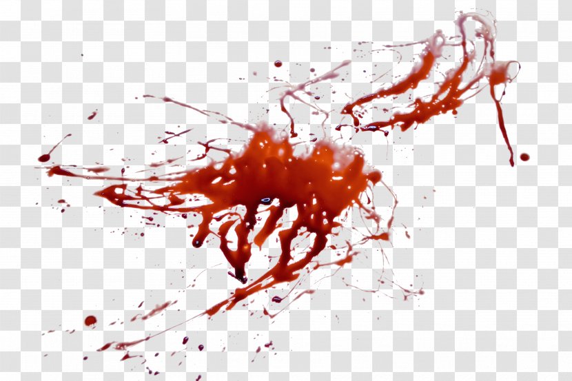 Blood Clip Art - Red - Close-up Transparent PNG