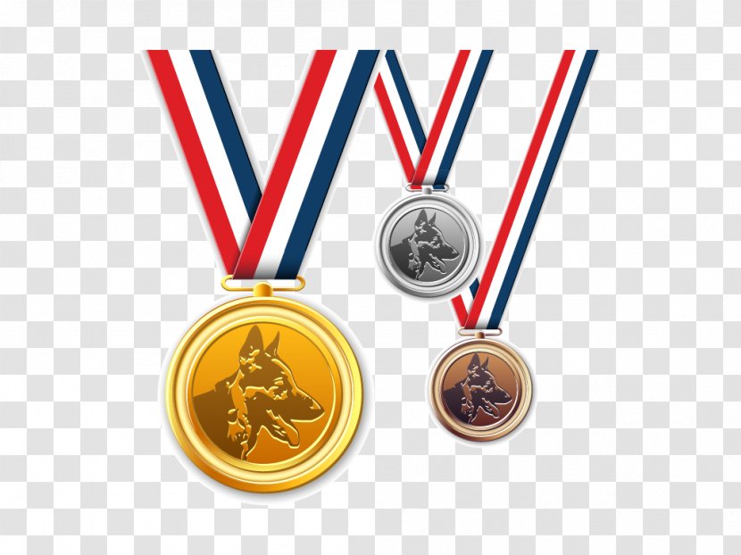 Gold Medal Badge - Logo - Gold, Silver Medals Vector Dogs Transparent PNG