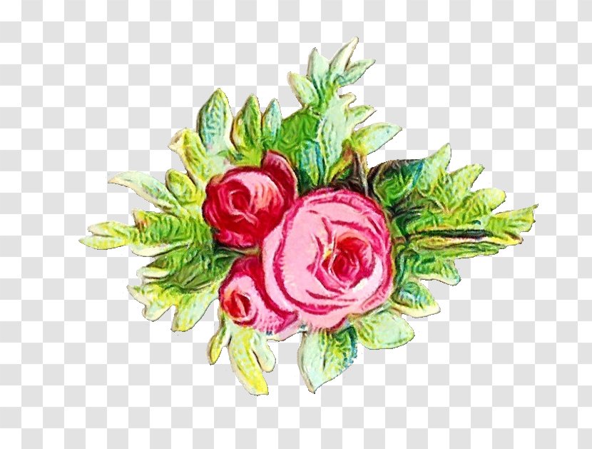 Garden Roses - Paint - Rose Family Transparent PNG