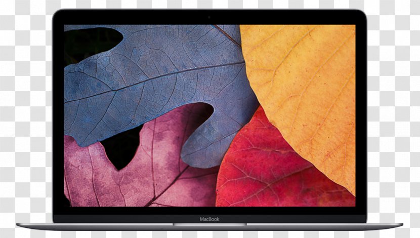 MacBook Pro Air Laptop Apple - Intel Core - Macbook Transparent PNG