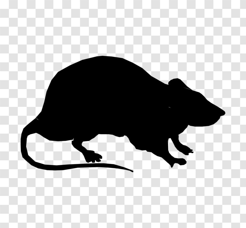 Laboratory Rat Silhouette Black Clip Art Transparent PNG