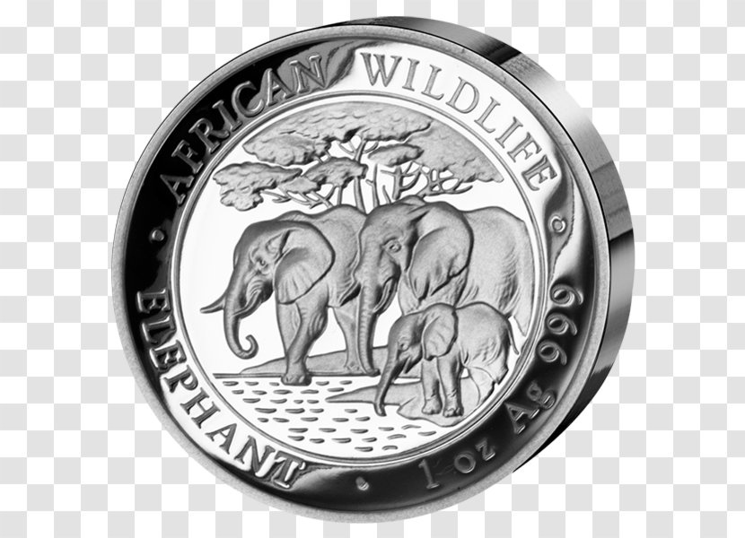 Elephantidae African Elephant Coin Silver Somalia - Money Transparent PNG