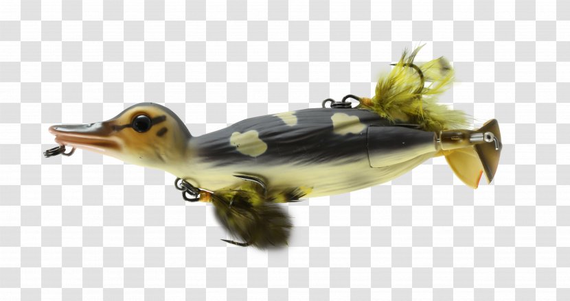 Northern Pike Fishing Baits & Lures Topwater Lure Muskellunge - Water Bird - Duck Transparent PNG