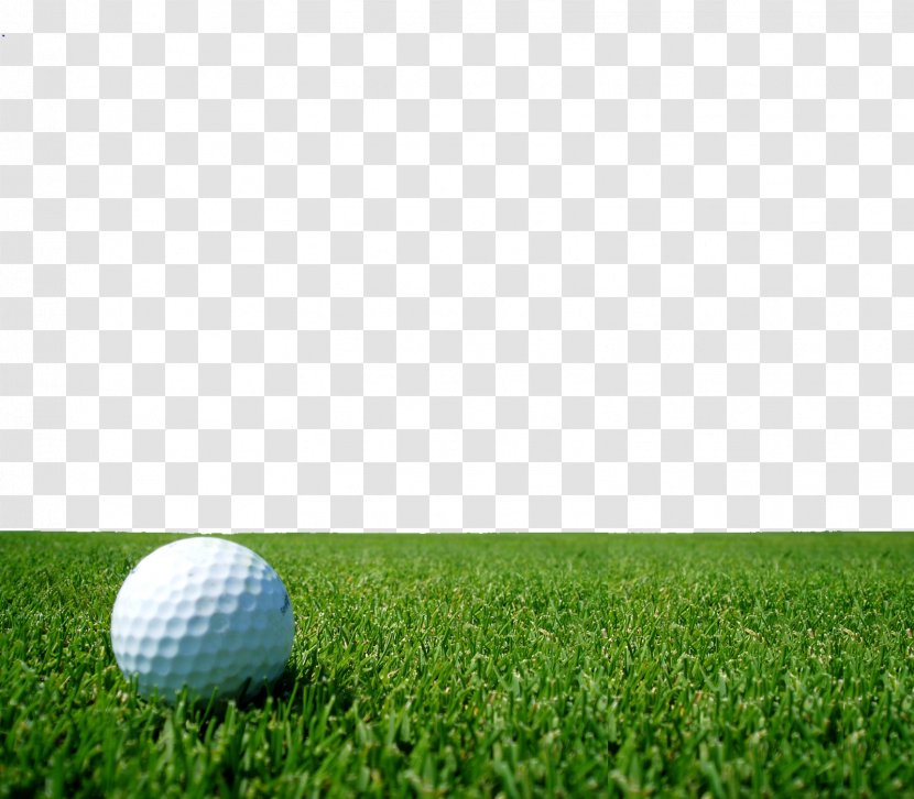 Augusta National Golf Club Course Display Resolution Wallpaper - Sky - On The Lawn Transparent PNG