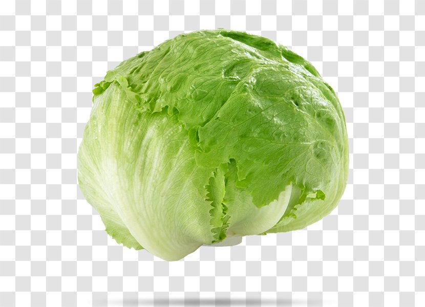 Iceberg Lettuce Stuffing Salad Vegetable Cabbage - Ingredient Transparent PNG
