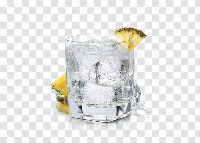 Gin And Tonic Cocktail Garnish Wine Vodka - Liqueur Transparent PNG