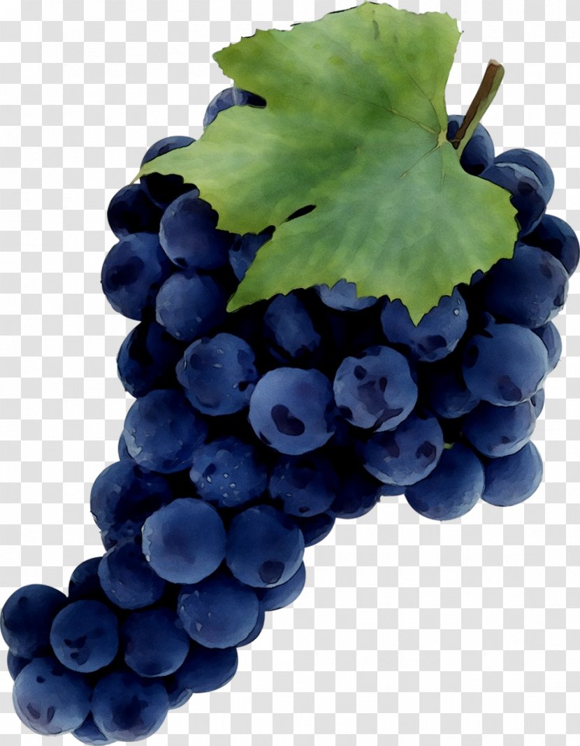 Common Grape Vine Sultana Zante Currant Juice - Seed Extract Transparent PNG