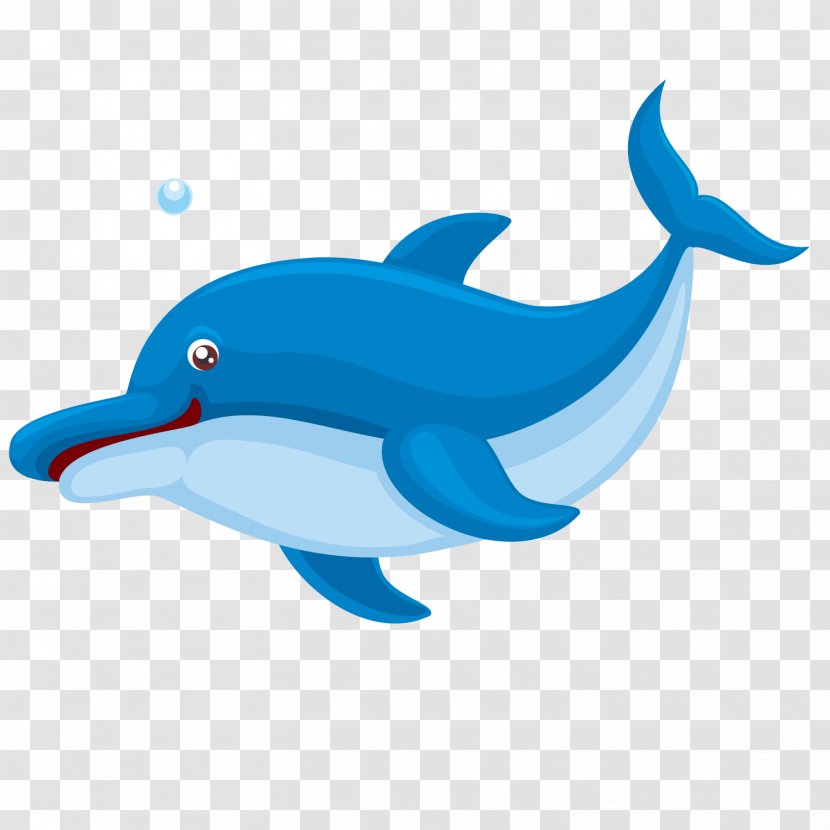 Fish Aquatic Animal Clip Art - Marine Mammal - Cartoon Shark Transparent PNG