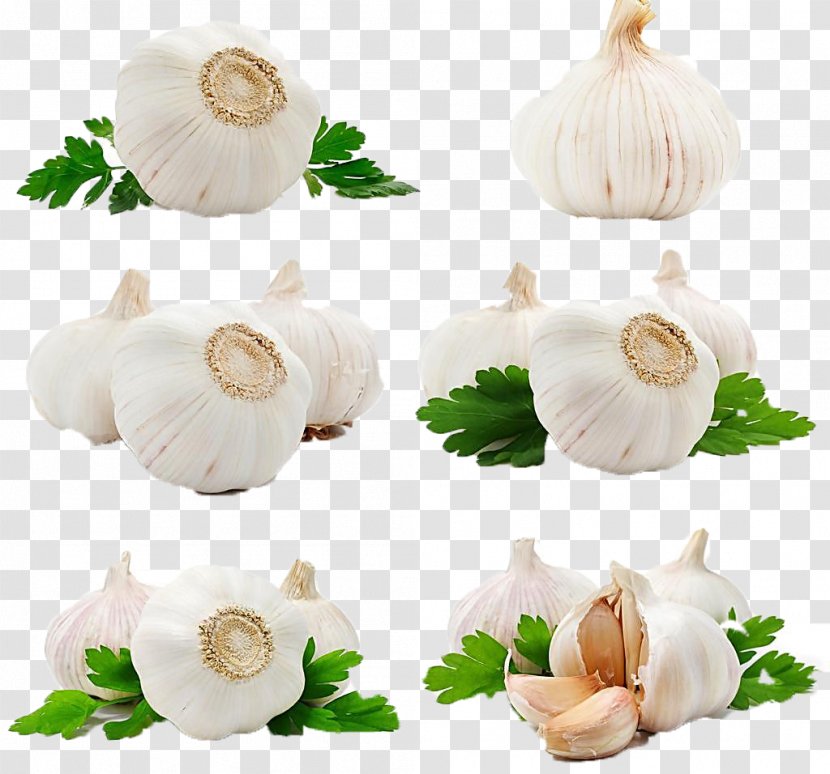 Garlic Oil Spice Food - Vegetable Transparent PNG