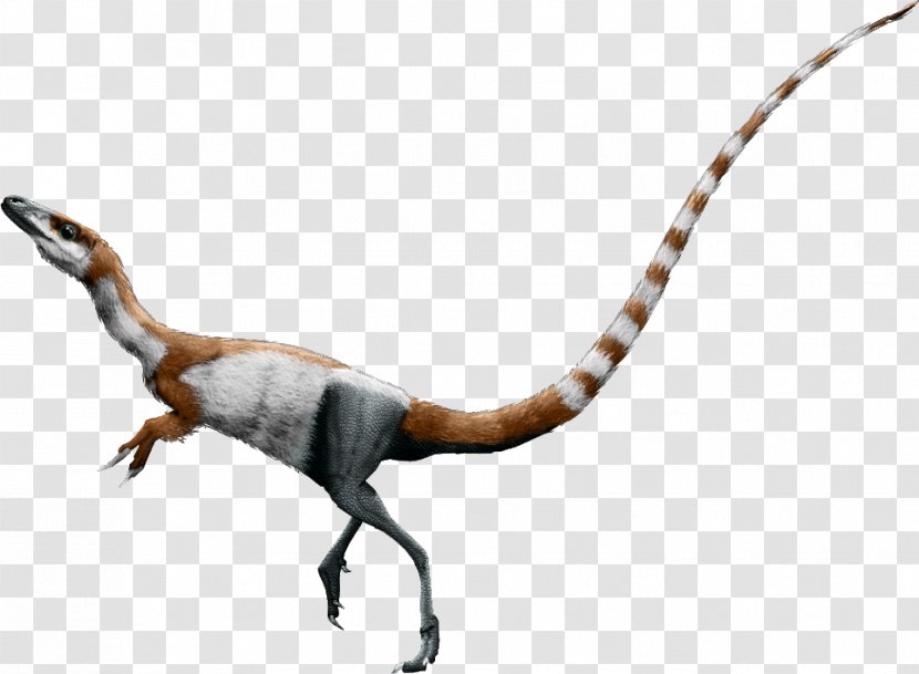 Sinosauropteryx Falcarius Conchoraptor Bird Daspletosaurus - Animal Figure Transparent PNG
