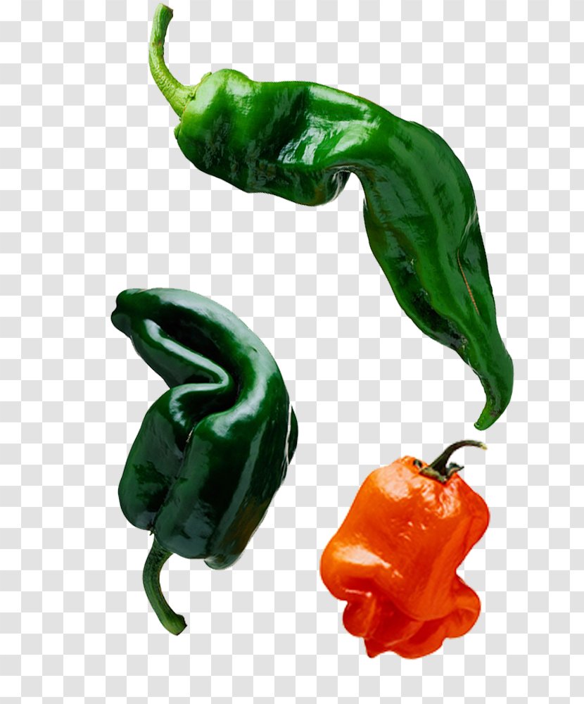 Bell Pepper Chili Capsaicin Pimiento - Sichuan - Green Transparent PNG