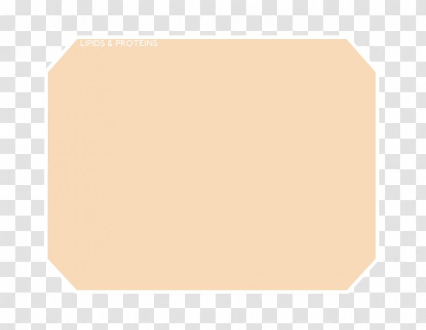 Rectangle Font - Brown - Angle Transparent PNG