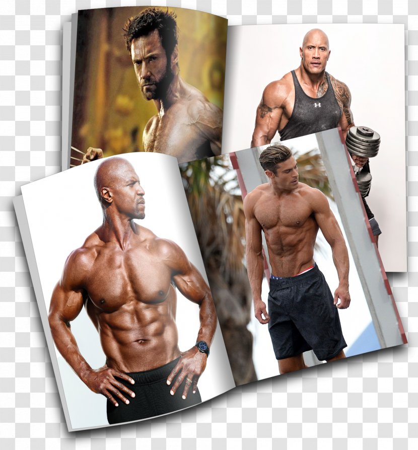 Male Bodybuilding Physical Fitness Celebrity Abdominal Exercise - Tree - Hugh Jackman Transparent PNG