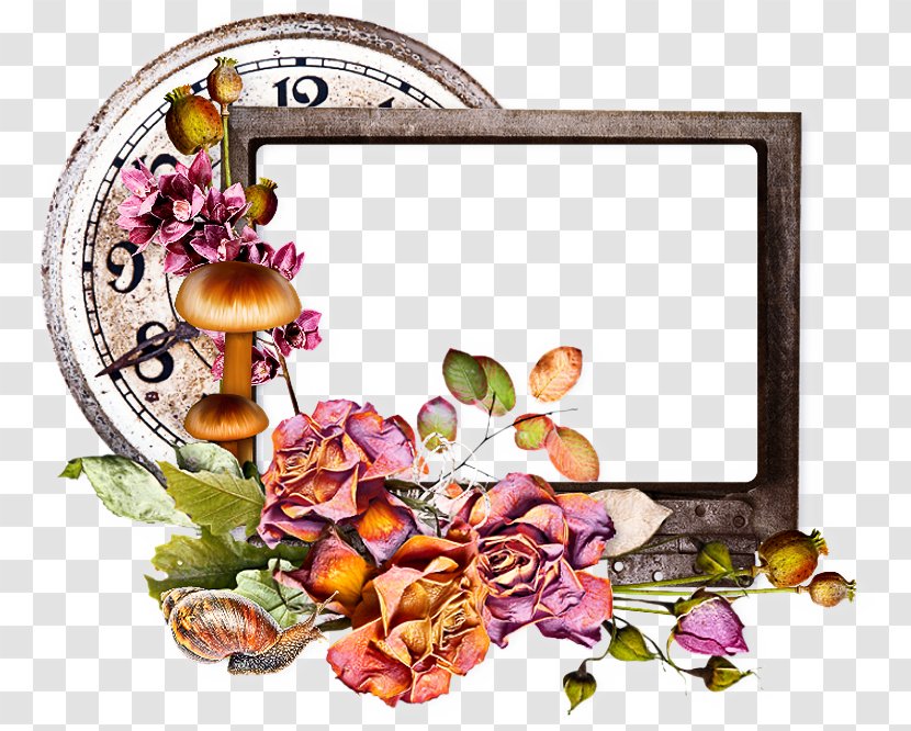 Graphic Design Frame - Floral - Blossom Petal Transparent PNG
