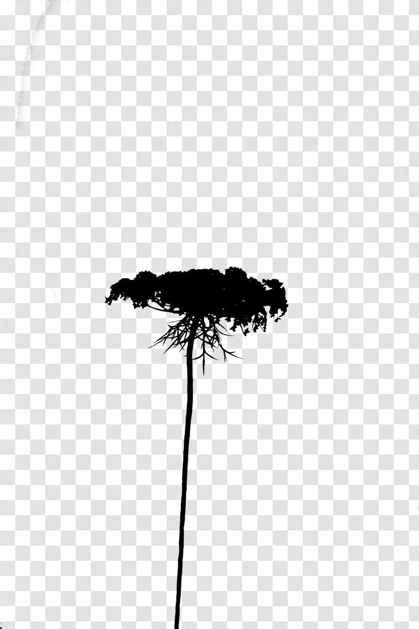 Tree Silhouette Sky Black M - Grass - Plant Transparent PNG