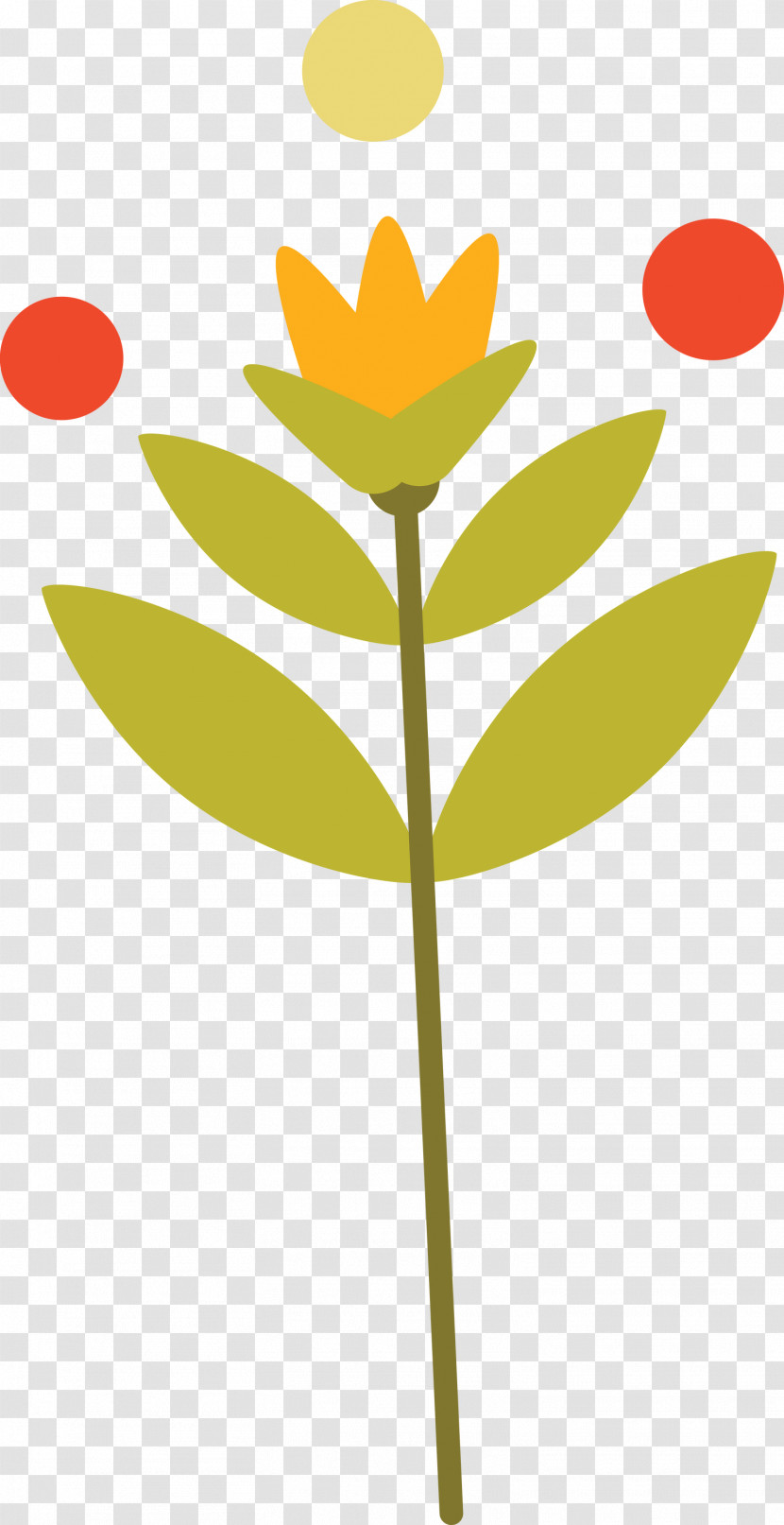 Plant Stem Petal Leaf Yellow M-tree Transparent PNG