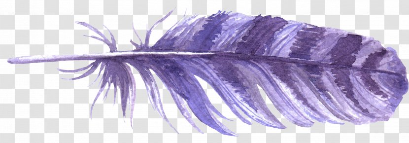 Feather - Blue Transparent PNG