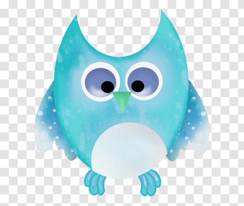 Owl Turquoise Beak Transparent PNG