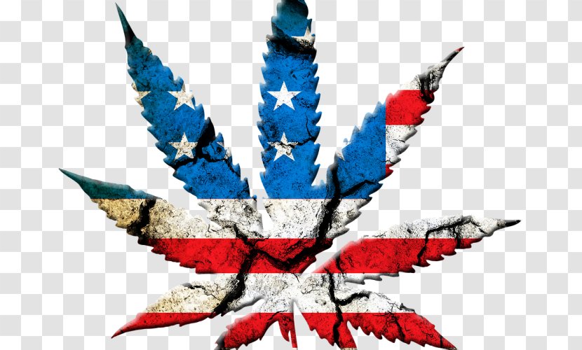 United States Medical Cannabis Shop Legalization Transparent PNG