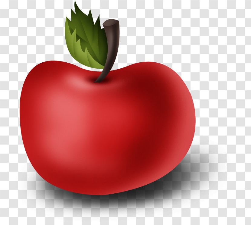 Apple Drawing - Flower - Red Transparent PNG