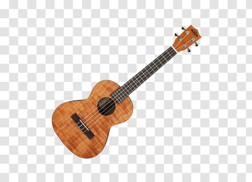 Steel-string Acoustic Guitar Takamine Guitars Musical Instruments Acoustic-electric - Flower Transparent PNG