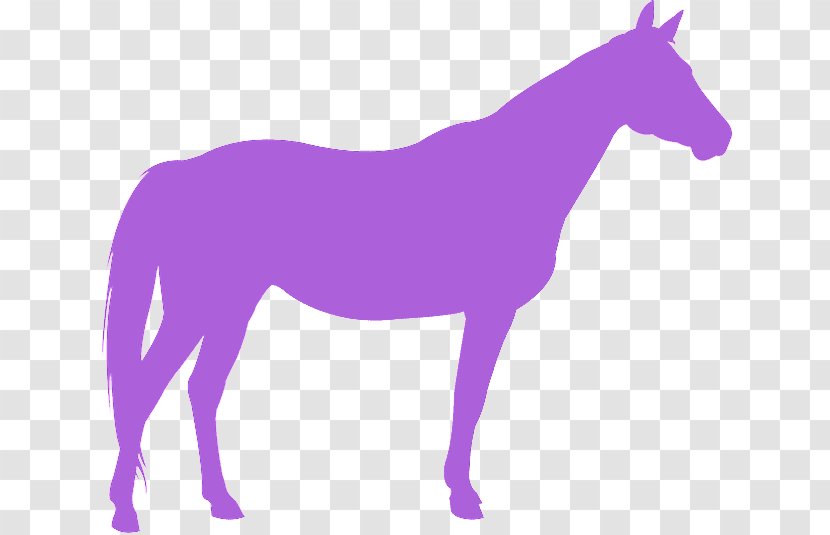 Purple Violet Horse Mane Mare - Animal Figure - Silhouette Transparent PNG
