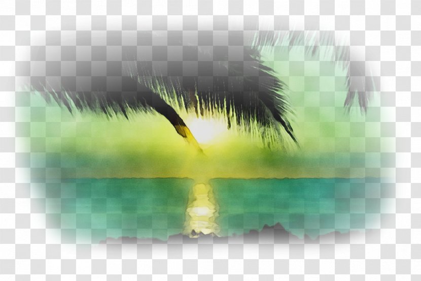 Water Energy Desktop Wallpaper Computer Eye - Yellow Transparent PNG