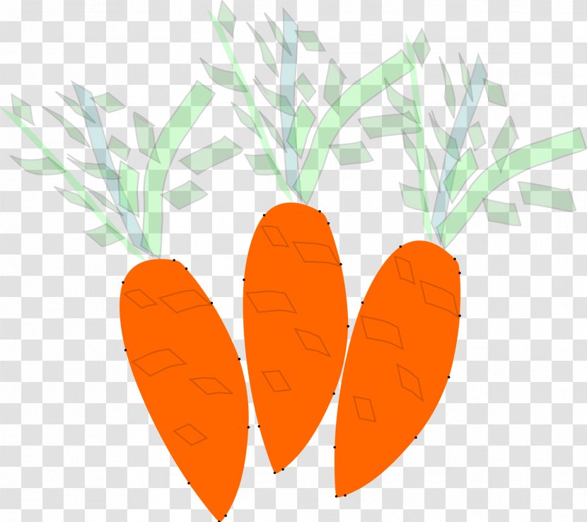 Carrot Food Vegetable - Eating Transparent PNG