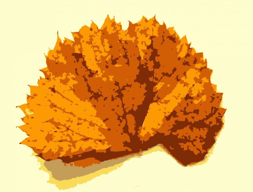 Missouri Autumn Tree Leaf - Leaves Transparent PNG