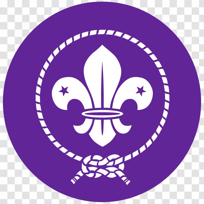 World Organization Of The Scout Movement Jamboree Scouting Boy Scouts America - Logo Transparent PNG