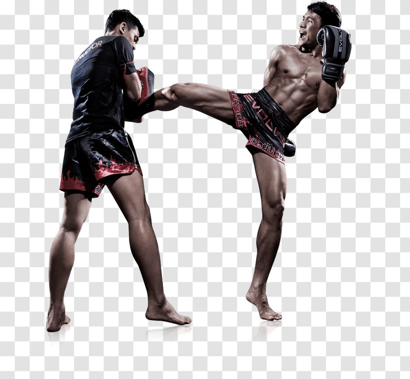 Muay Thai Mixed Martial Arts Evolve MMA Kickboxing - Boxing Glove Transparent PNG