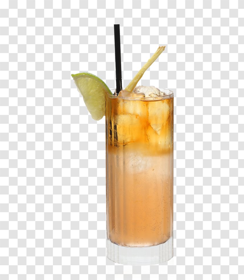 Drink Rum Swizzle Batida Mai Tai Cocktail Garnish - Juice - Dark N Stormy Transparent PNG