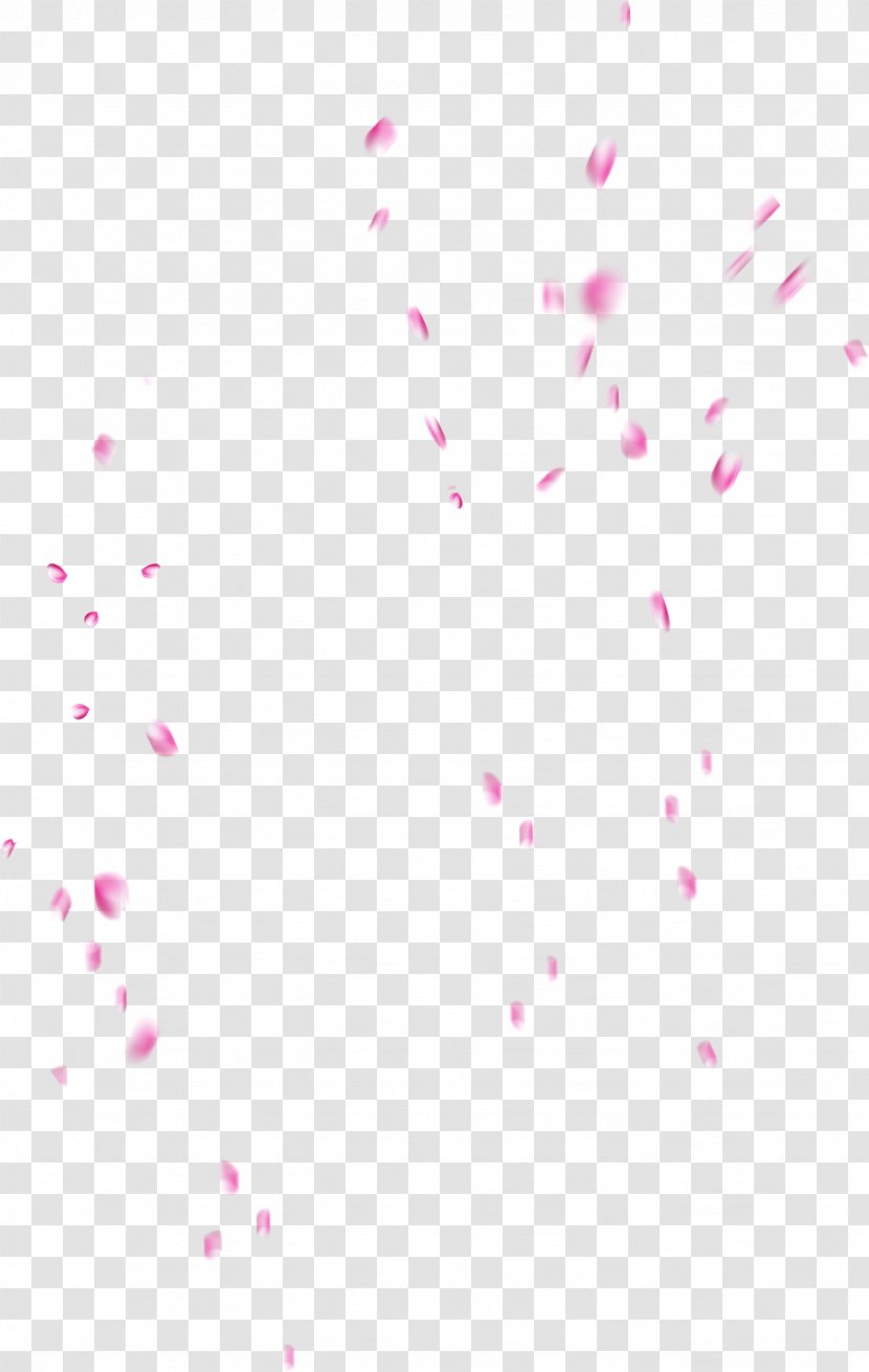 Petal Pink Garden Roses - Lilac Petals Falling Transparent PNG