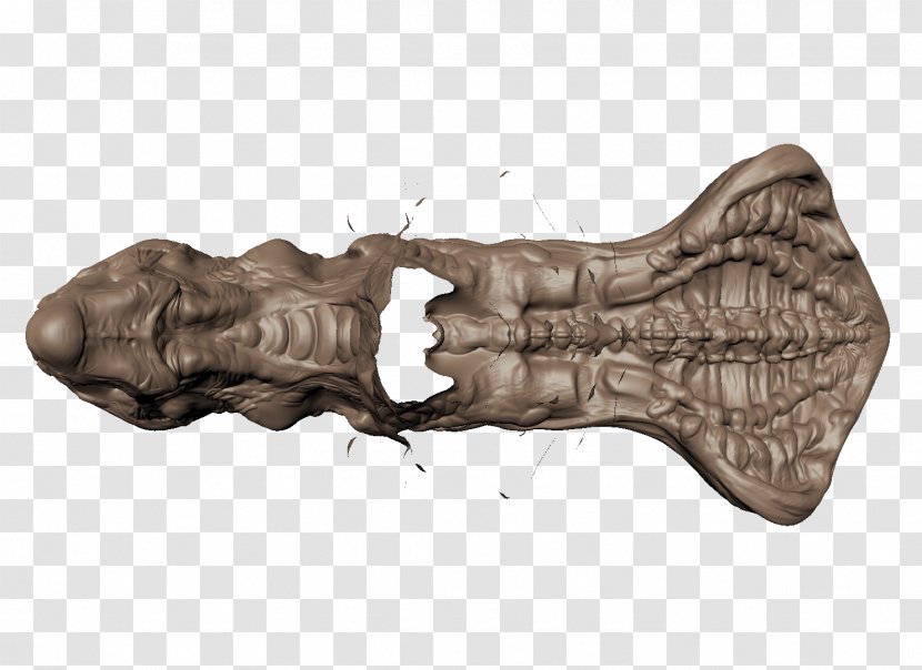 Wood Bone /m/083vt - Ruyi Transparent PNG