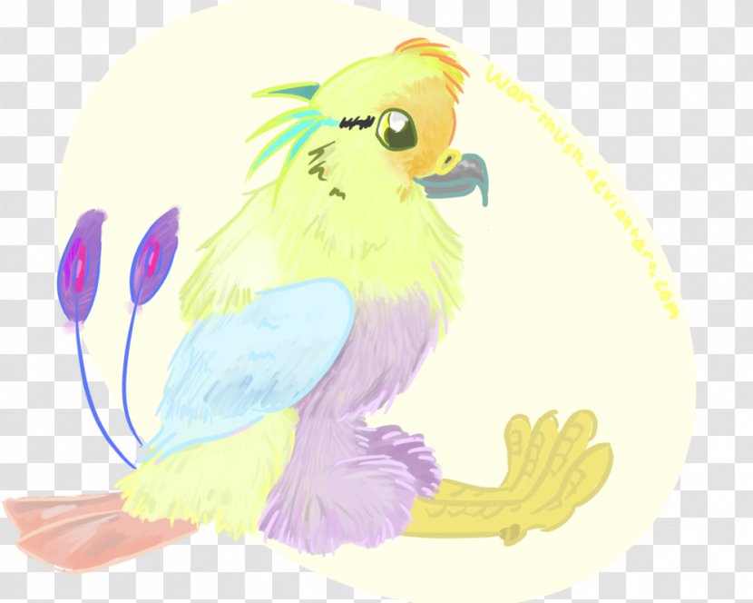 Parrot Beak Feather Drawing Transparent PNG