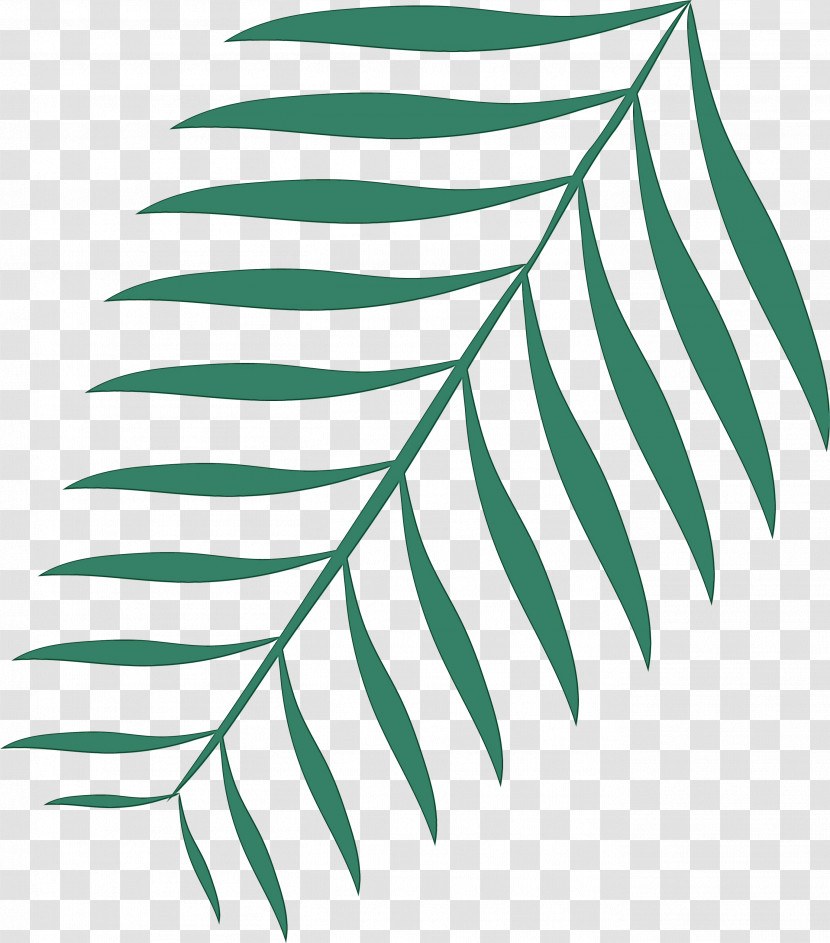 Plant Stem Leaf Black & White / M Green Line Transparent PNG