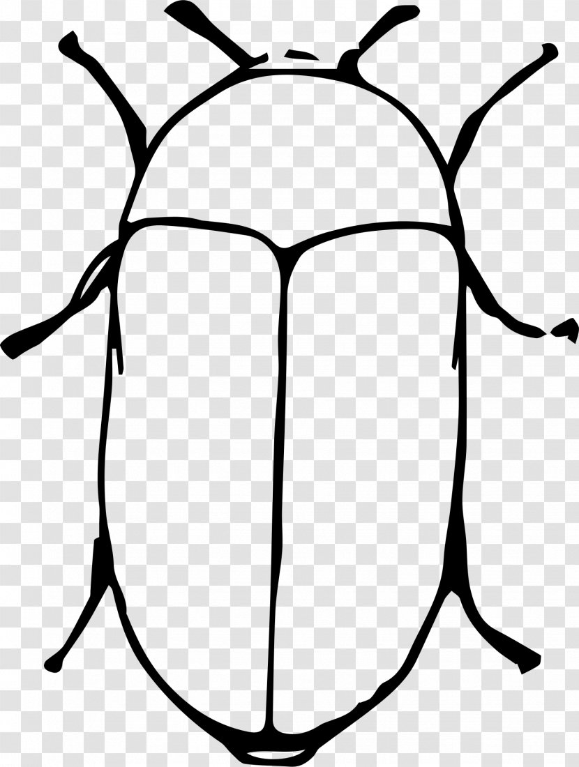 Beetle Line Art Clip - Animal Transparent PNG