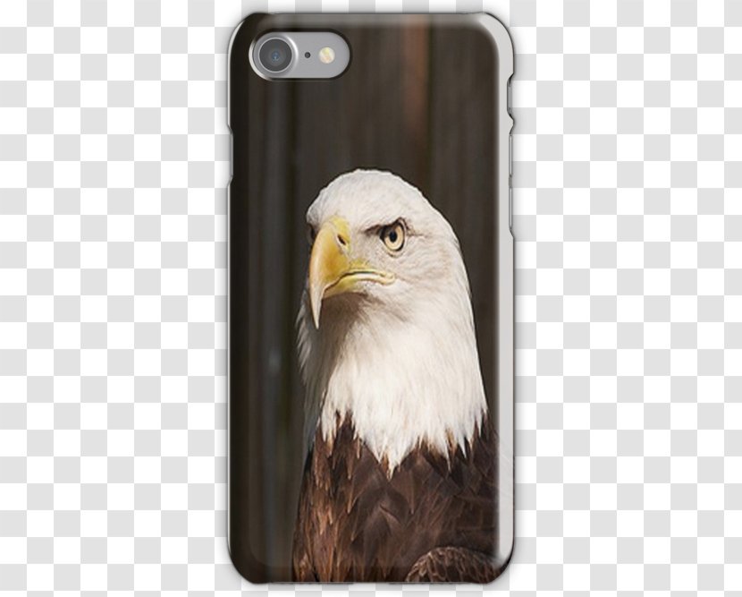 IPhone 6 Plus Apple 7 Clothing - Bird - Lisa Ann Transparent PNG