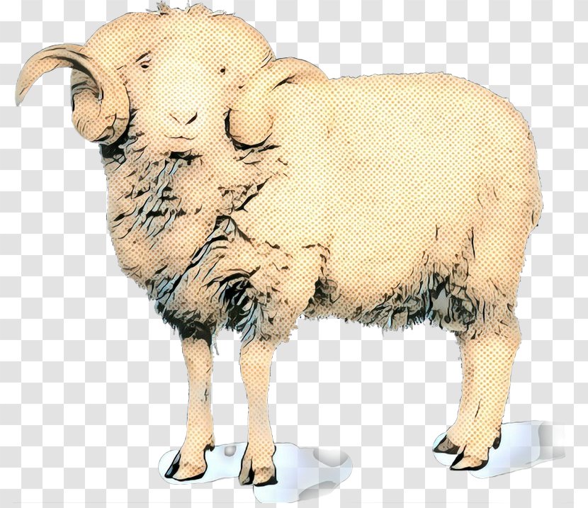 Sheep Cattle Ox Terrestrial Animal Snout - Bison Transparent PNG