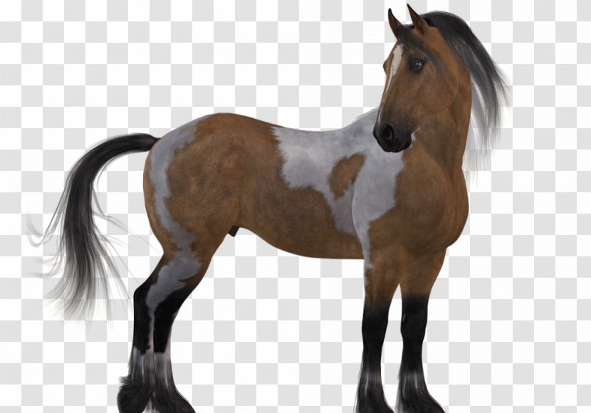 Mustang Horse Stallion Foal Pony - Liver Transparent PNG