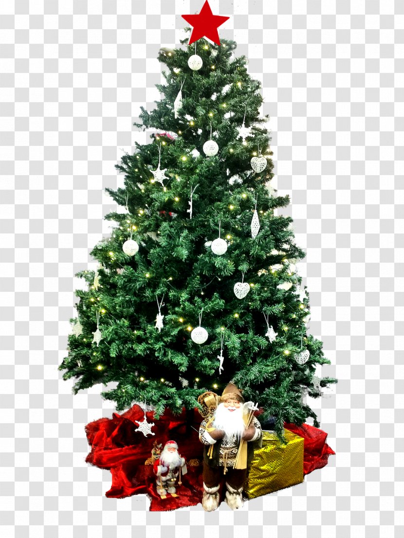 Christmas Tree Covered With White Lights - Gift Transparent PNG