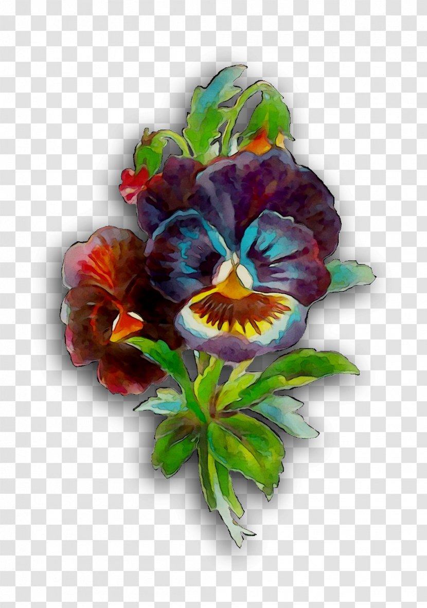 Pansy Floral Design Cut Flowers Transparent PNG