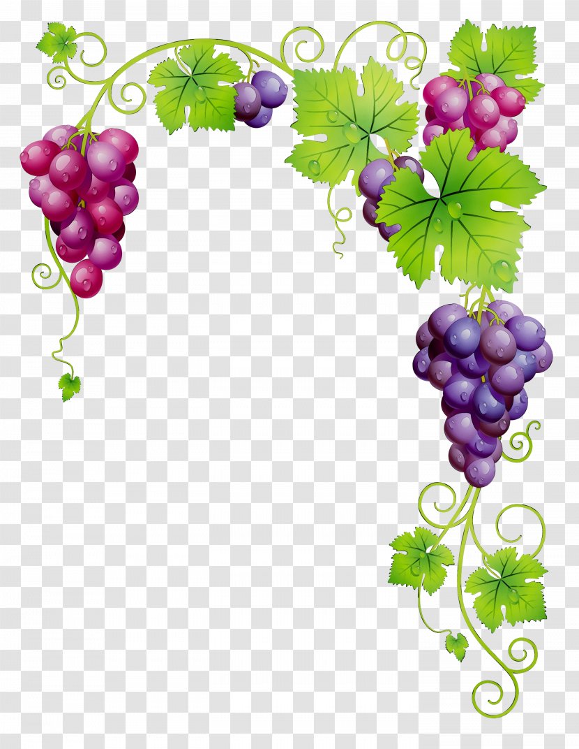Common Grape Vine Dessert Wine White - Leaves Transparent PNG